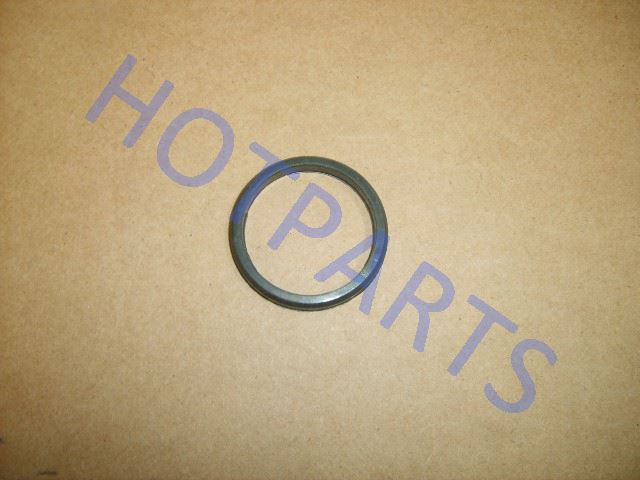 картинка GASKET-SPARK PLUG(EXPORT TO COLD PLACE)  1003012-E00-A1