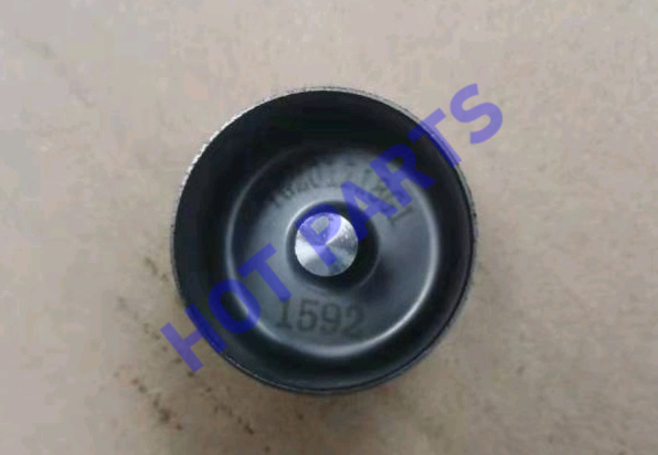картинка ТОЛКАТЕЛЬ КЛАПАНА 15.92mm  1030042000